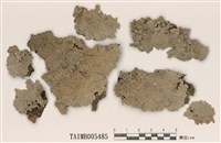 藏品(密果黑囊基衣)的圖片